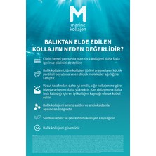 Zade Vital Marine Collagen + Hyaluronic Acid 28'li Saşe