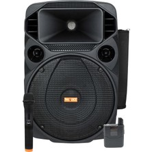 Provoice VPX-12 DC 12 inch 1200 Watt Taşınabilir Hoparlör Sistemi