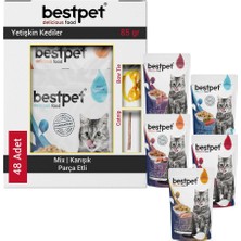 Bestpet Karışık Jöleli Parça Etli Kedi Konservesi 48X85 gr