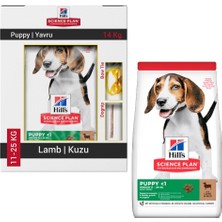 Hill's Puppy Lamb Kuzu Etli Yavru Köpek Maması 14 kg