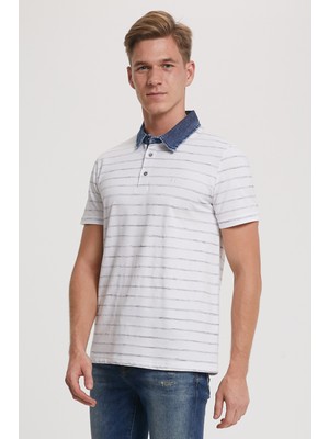 Lee Cooper Matty Erkek Pike Polo Yaka Çizgili T-Shirt