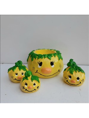 Bulut Sevimli Kabak Saksı