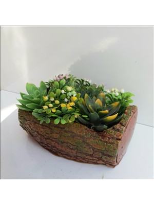 Bulut Kütük Saksı