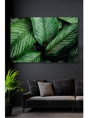 Hediyeler Kapında 50X70 Verimli Topraklar Kanvas Tablo