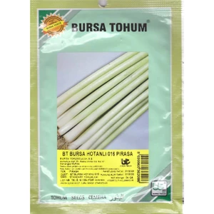 Bursa Tohum Bursa Hotanlı Pırasa Tohumu 10 gr