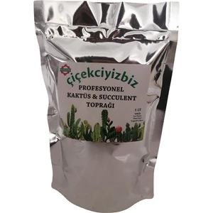 Profesyonel Kaktüs ve Succulent Toprağı 1 Lt