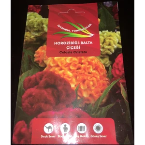 İstanbul Tohumculuk Çiçek Tohumu Horoz Ibiği Balta Çiçeği Istanbul Tohumculuk