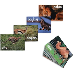Meraklı Zebra Hayvanlar Temalı Alfabe Kartları Set - 1