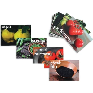 Meraklı Zebra Sağlıklı Gıdalar Alfabe Kartları - Set 2