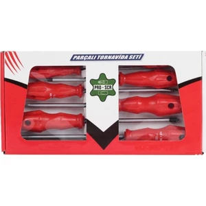 PROSCR02649 Yıldız Tornavida Takımı 6 Parça
