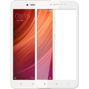 Xiaomi Redmi Note 5A Fiber Nano Ekran Koruyucu