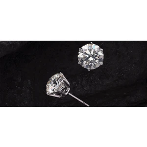 Adal Silver Kadın 925 Ayar Gümüş Çerçeveli Mini Tek Taş Küpe