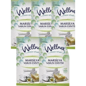 Wellnax Breeze Refresh Dolap ve Çekmece Kokusu Marsilya Sabun Esinti Kesesi X5