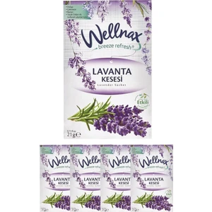 Wellnax Breeze Refresh Dolap ve Çekmece Kokusu Lavanta Tazeliği Kesesi X5