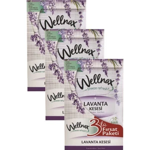 Wellnax Breeze Refresh Dolap ve Çekmece Kokusu Lavanta Tazeliği Kesesi X3