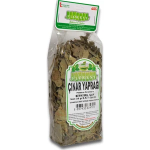 Çınar Yaprağı Bitkisel Çay 25 gr