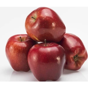 Bursa Tarım Starkrimson Delicious Elma Fidanı