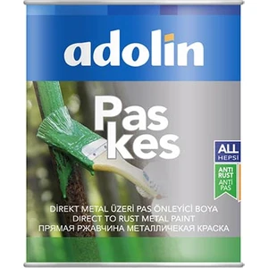 Paskes Direkt Pas Üstü Metal Boyası Ral 6005 Çit Yeşili 0,75 Lt.