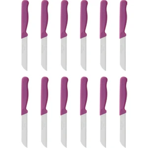 Simli Meyve Bıçağı 12'li Pembe