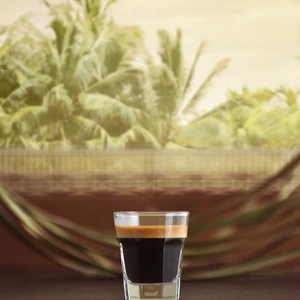 Shot Bardak
