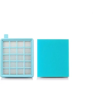 Fc 8632 Powerpro Active Hepa Filtresi