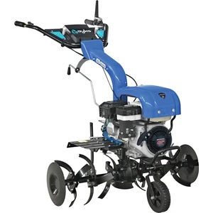 Ayka RZ 250 F Çapa Makinesi Honda GP 200 6,5 hp Benzinli Motor 3+1 Vites