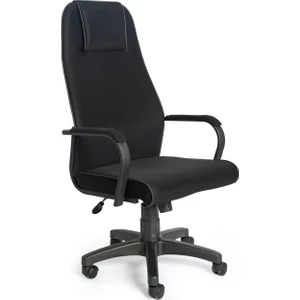 Tuna Yönetici Müdür Makam Çalışma File Koltuk