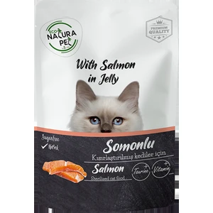 Eco Natura Pet Kısır Kedi Somonlu 85 gr Pouch x 20