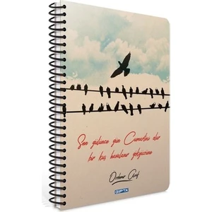 Kuşlar Çizgili Defter 120 Yaprak 19 x 26 cm