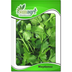 Maydanoz Tohumu 10 gr
