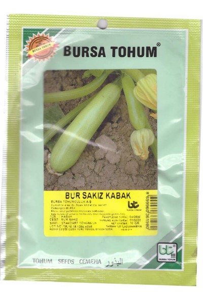Bursa Tohum Sakız Kabak Tohumu 10 gr