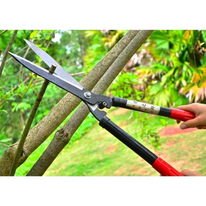 Çim Kesme Makası Çimen Makası Plastik Sap Bahçe Makası fiyatları