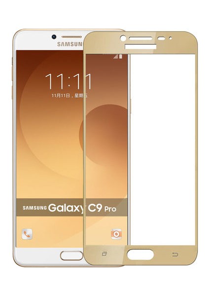 Samsung Galaxy C9 Pro Fiber Nano Ekran Koruyucu