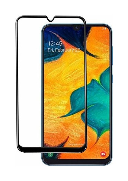 Samsung Galaxy A30 Fiber Nano Ekran Koruyucu