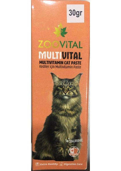 Multivitamin Kedi Macunu 30 gr