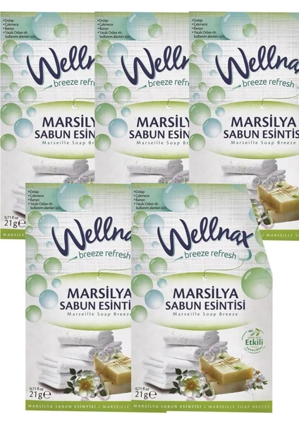 Wellnax Breeze Refresh Dolap ve Çekmece Kokusu Marsilya Sabun Esinti Kesesi X5