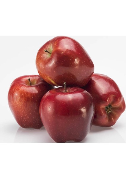 Starkrimson Delicious Elma Fidanı
