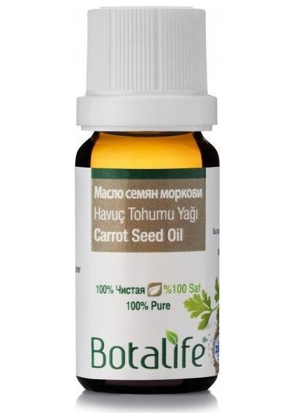 Havuç Tohumu Yağı 10 ml