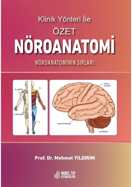 Klinik Yönleri ile Özet Nöroanatomi Nöroanatominin Sırları - Mehmet Yıldırım