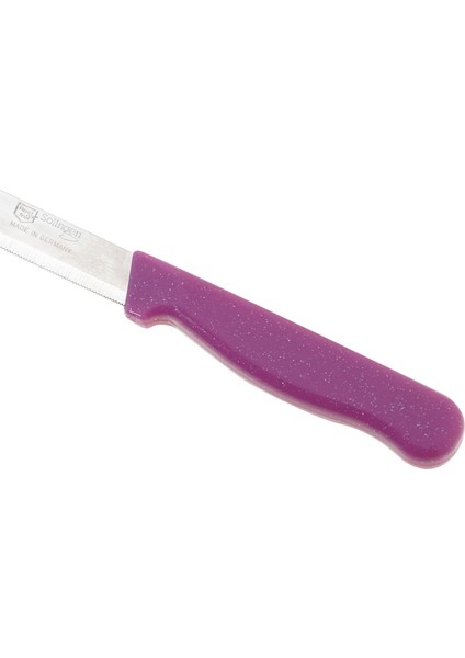 Simli Meyve Bıçağı 12'li Pembe