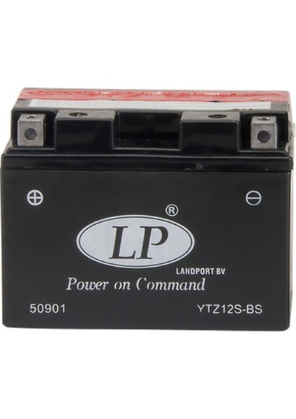 Honda PS250 2005-2008 YTZ12S-BS Akü