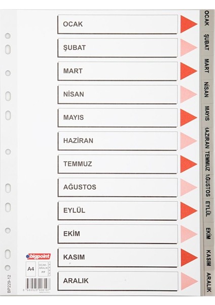 Pp Seperatör Ocak-Aralık