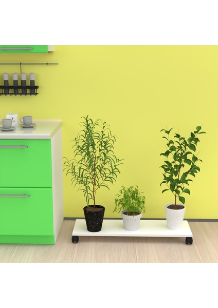 Kenzlife saksı altlığı kazım byz 010x30 tüp saksılık