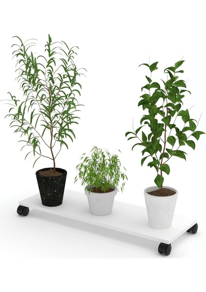 Kenzlife saksı altlığı kazım byz 010x30 tüp saksılık fiyatları