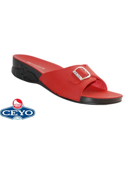 Ceyo, Flora-6 (35-41), Anatomik, Kadın Terlik, 2 Renk