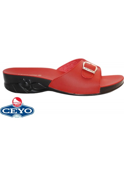 Ceyo, Flora-6 (35-41), Anatomik, Kadın Terlik, 2 Renk fiyatları