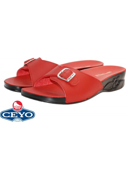Ceyo, Flora-6 (35-41), Anatomik, Kadın Terlik, 2 Renk modelleri
