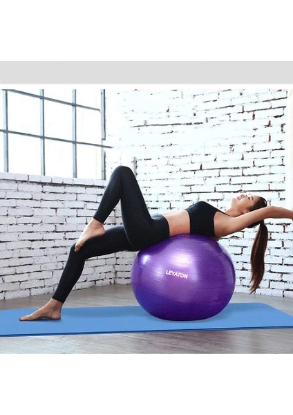 Pilates Topu Kalın Büyük Boy Pilates Topu Mor Renk+Pompa