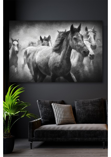 50X70 Yılkı Atları Kanvas Duvar Tablo