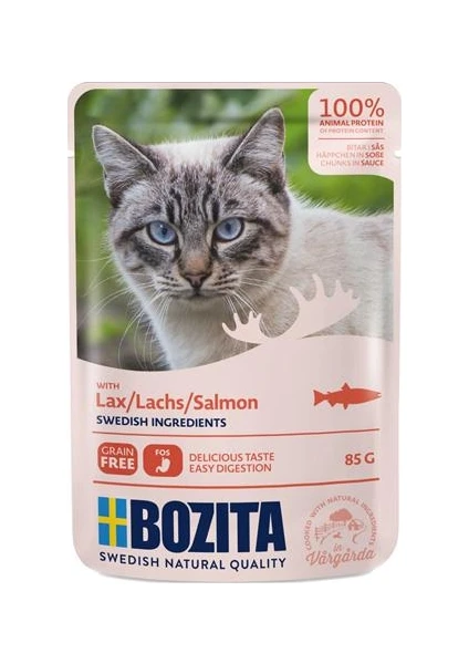 Pouch Somon Etli Tahılsız Yetişkin Kedi Konservesi 85 gr